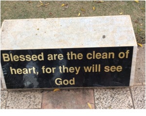 Blessed are the Clean of Heart